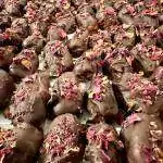 Rose Chocolate Dates
